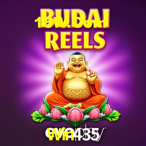 Interface Premium Win435